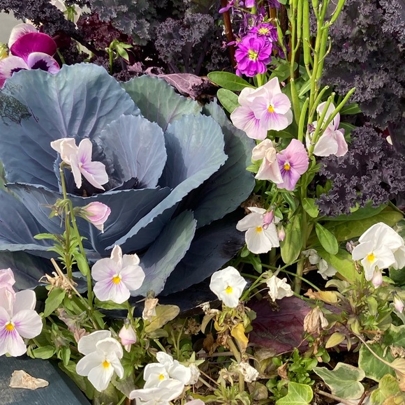 Meet your Posher, Jenny - Picture 10 of 16